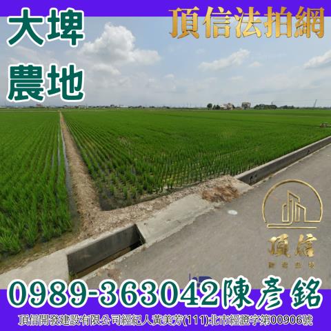 雲林大埤法拍農地-1