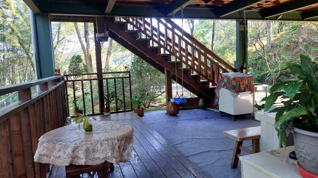 新竹橫山林地-3