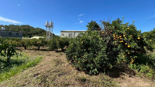 苗栗頭份農地-9