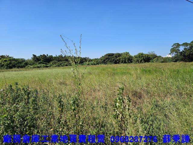 桃園蘆竹農地-1