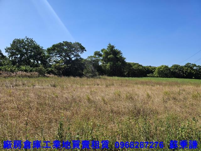 桃園蘆竹農地-2