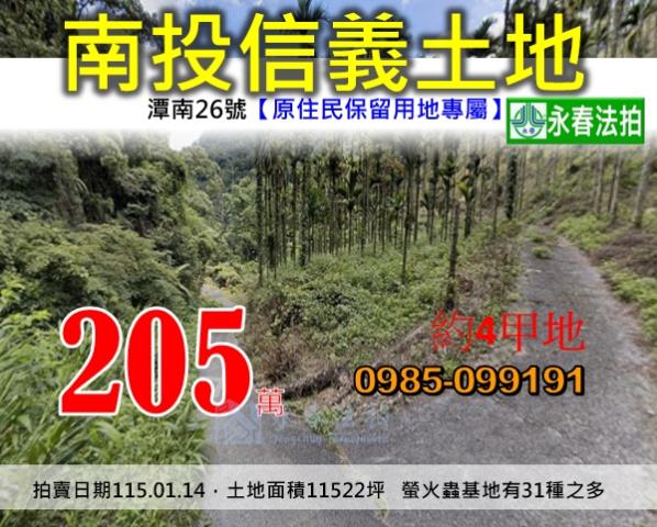 信義鄉山坡地法拍-1