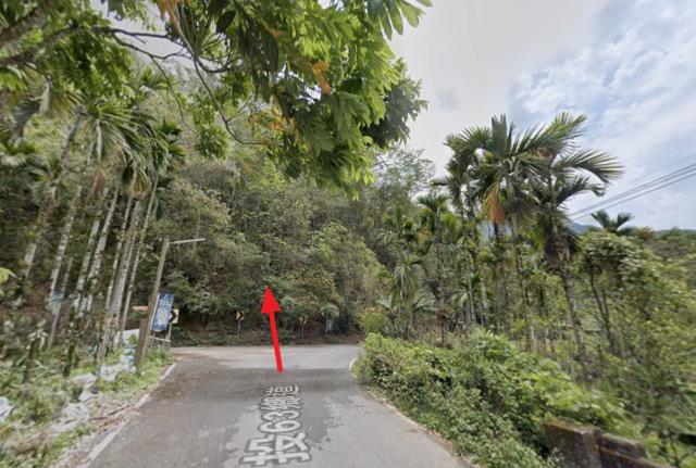 信義鄉山坡地法拍-3