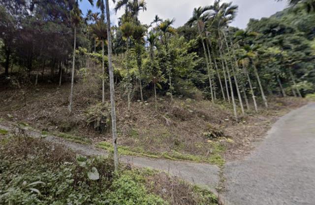 信義鄉山坡地法拍-4