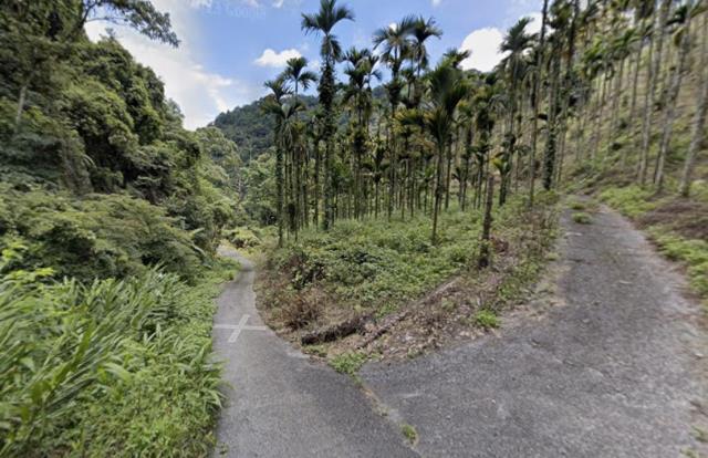 信義鄉山坡地法拍-5