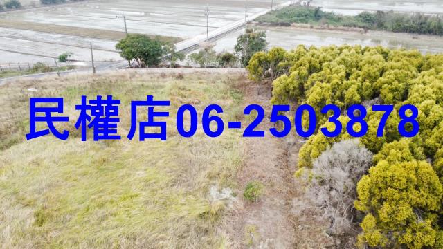 台南六甲農地-11