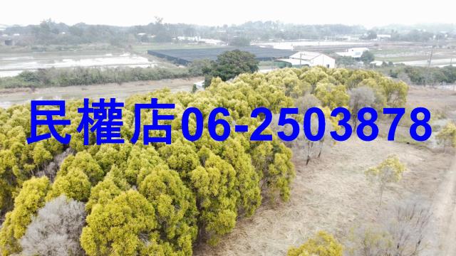 台南六甲農地-15