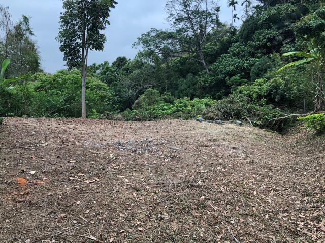 南投南投市農地-11