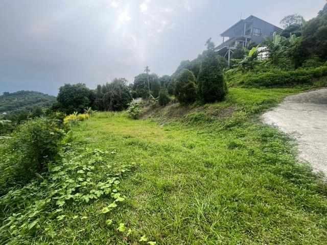 台中霧峰農地-5