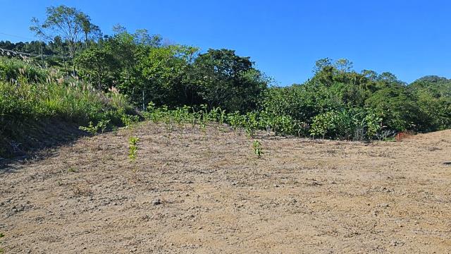 新竹北埔農地-1