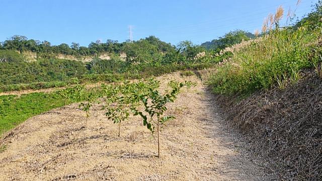 新竹北埔農地-7