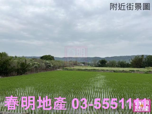 新竹竹北農地-10