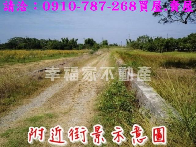 台南新市農地-15
