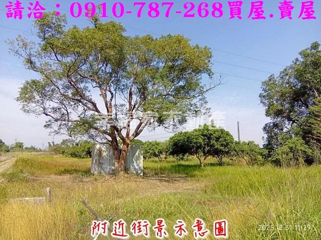 台南新市農地-6