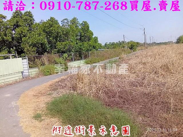 台南新市農地-7