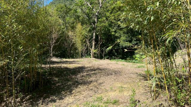 新竹尖石農地-9