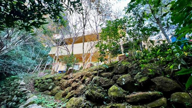 新竹尖石農地-2