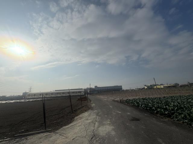 高雄路竹農地-9