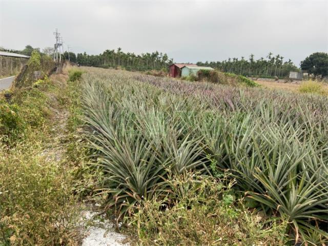 潮州農地-2