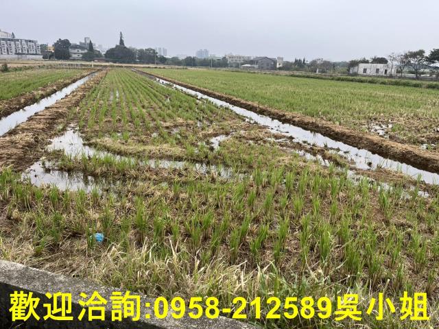 湖口農地-10