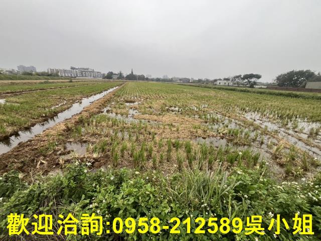 湖口農地-1