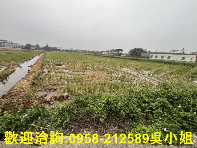 湖口農地-2