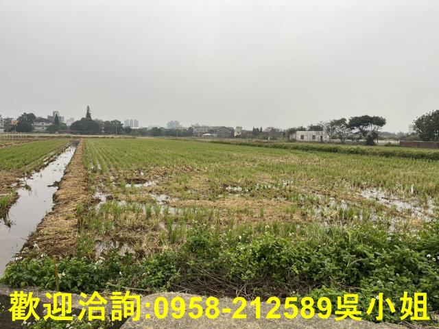 湖口農地-5