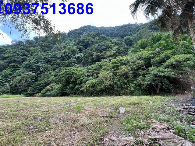 宜蘭員山農地-3