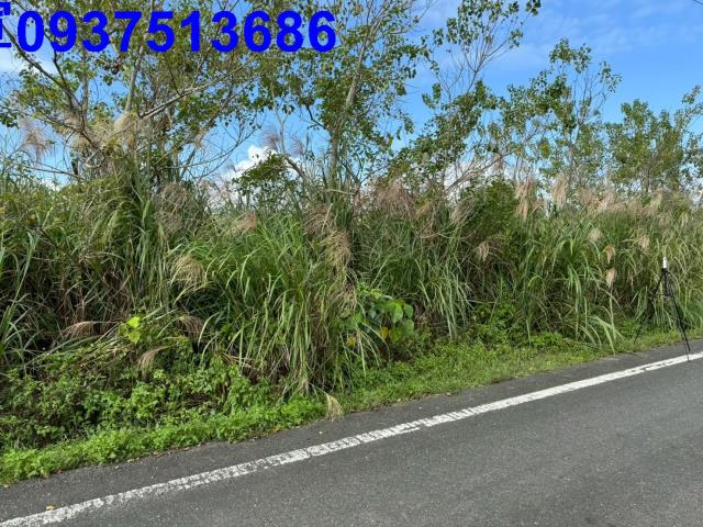 宜蘭壯圍農地-1