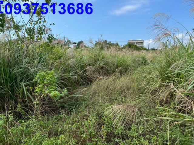 宜蘭壯圍農地-10