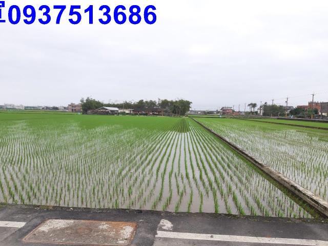 宜蘭礁溪農地-4