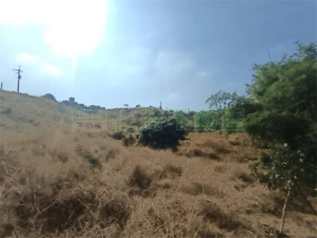 高雄大樹農地-12