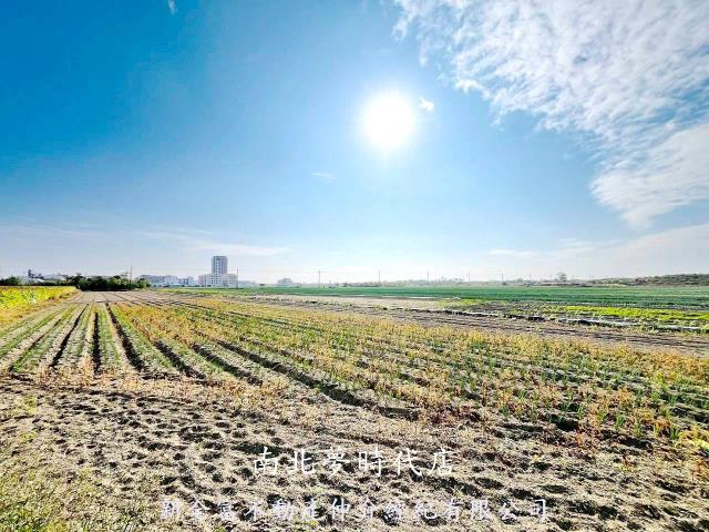 台南安南農地-8