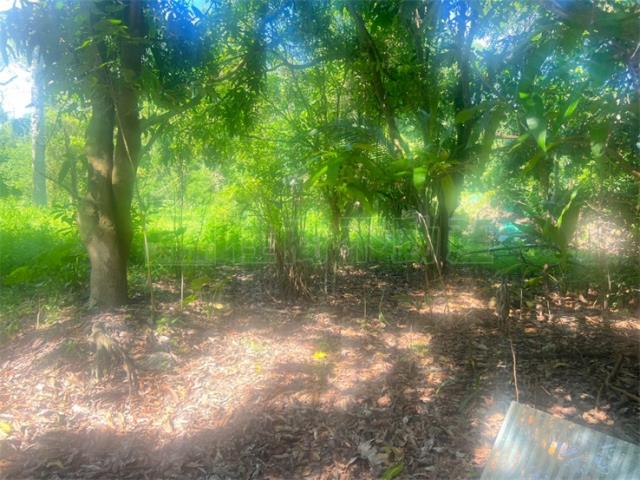 高雄內門農地-3