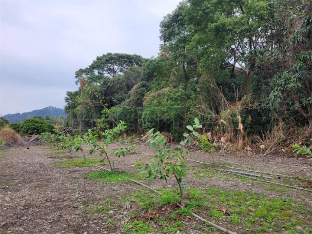 高雄六龜農地-3