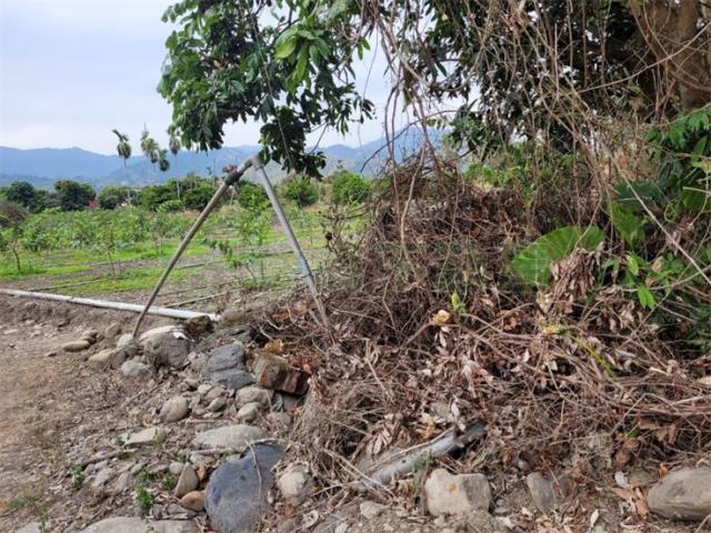 高雄六龜農地-6