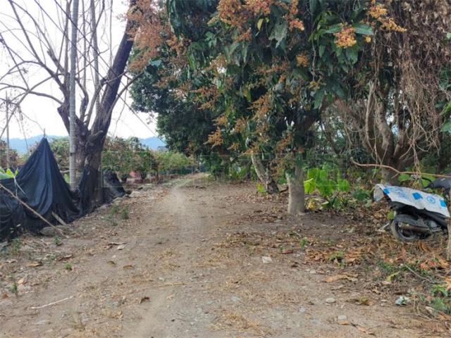 高雄六龜農地-8