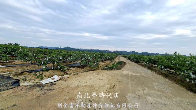 高雄燕巢農地-6