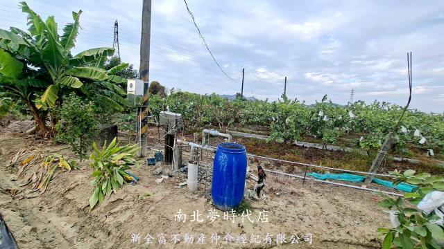 高雄燕巢農地-8