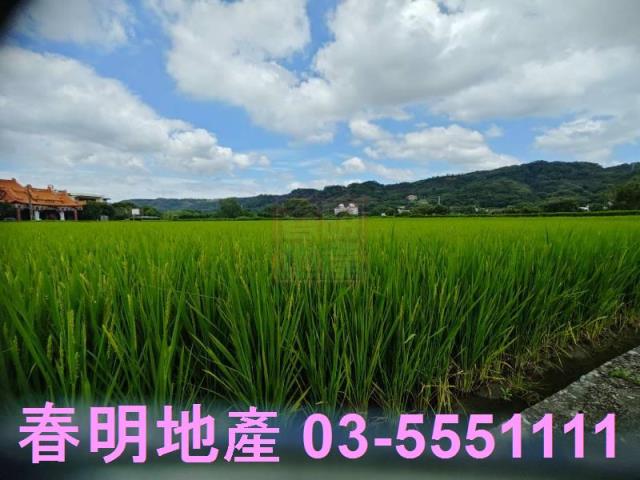 竹北農地-3