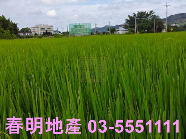 竹北農地-5