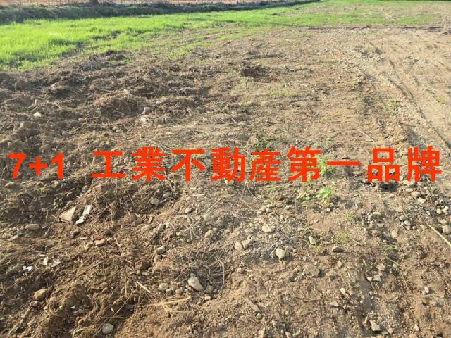 高雄大社農地-1