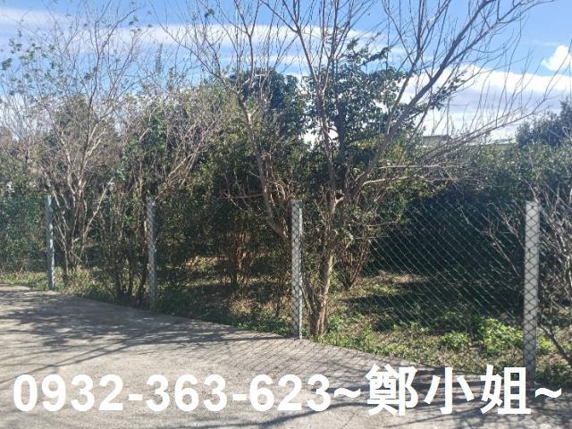 桃園龍潭農地-3