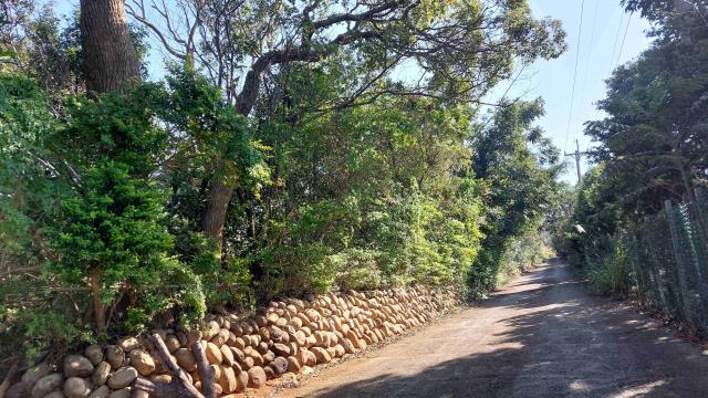 新竹新埔農地-15