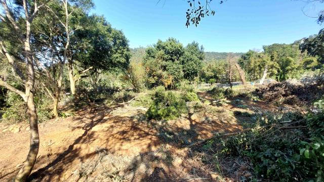 新竹新埔農地-6