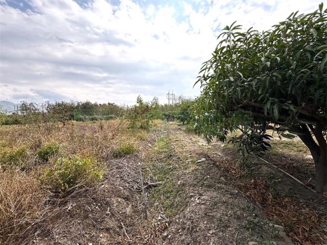 屏東枋山農地-10