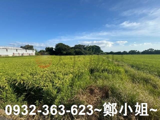 桃園新屋農地-2