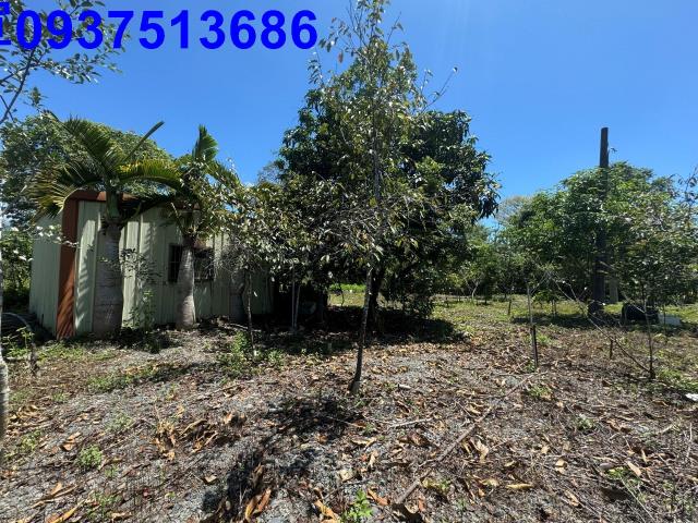 宜蘭礁溪農地-12