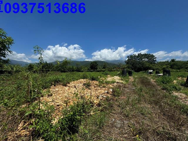 宜蘭礁溪農地-7