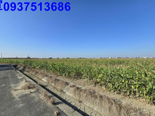 嘉義新港農地-3